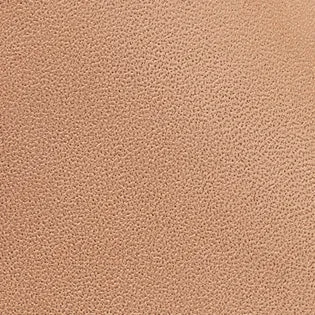 Camera Nude Leather