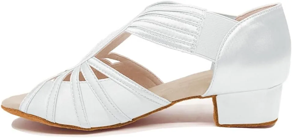 HIPPOSEUS Women Low Heel Latin Ballroom Dance Shoes Indoor Salsa Batchata Practice Dancing Shoes