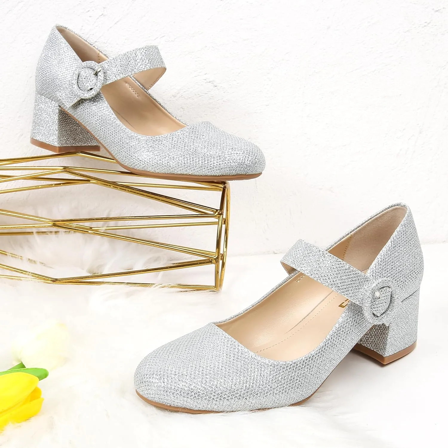 rsxses Mary Jane Shoes Women Chunky Low Block Heels Closed Round Toe Dress Office Work Mary Janes Pumps